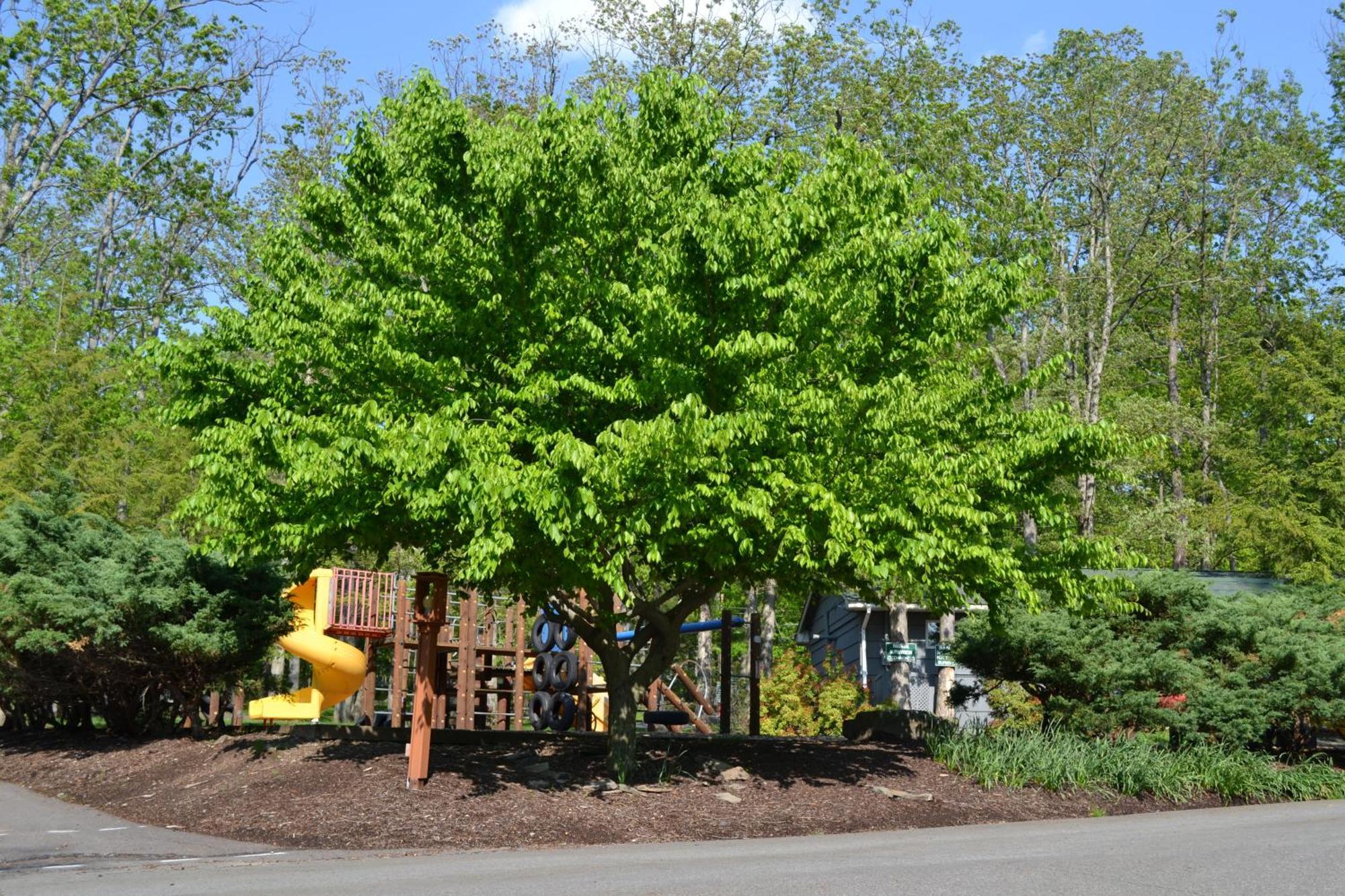 Woodloch Pines Resort Hawley Exteriör bild