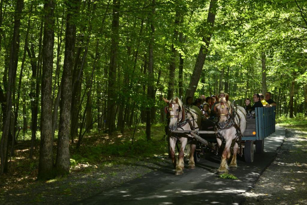 Woodloch Pines Resort Hawley Exteriör bild